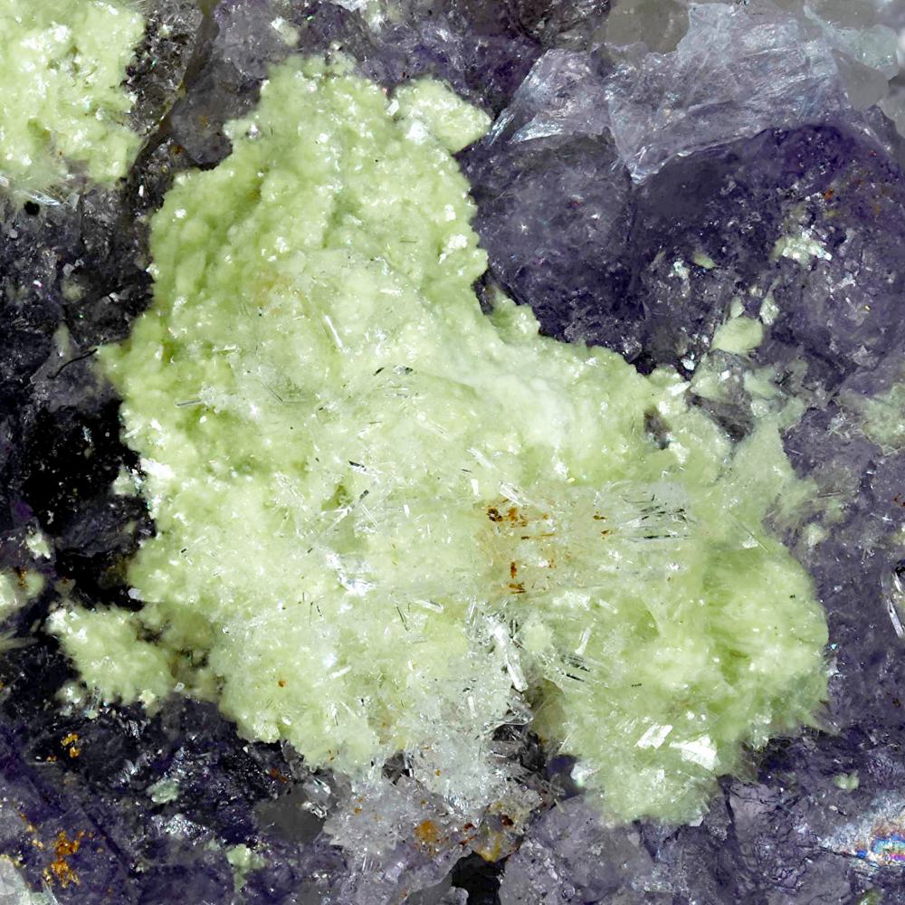 Carlhintzeite & Creedite