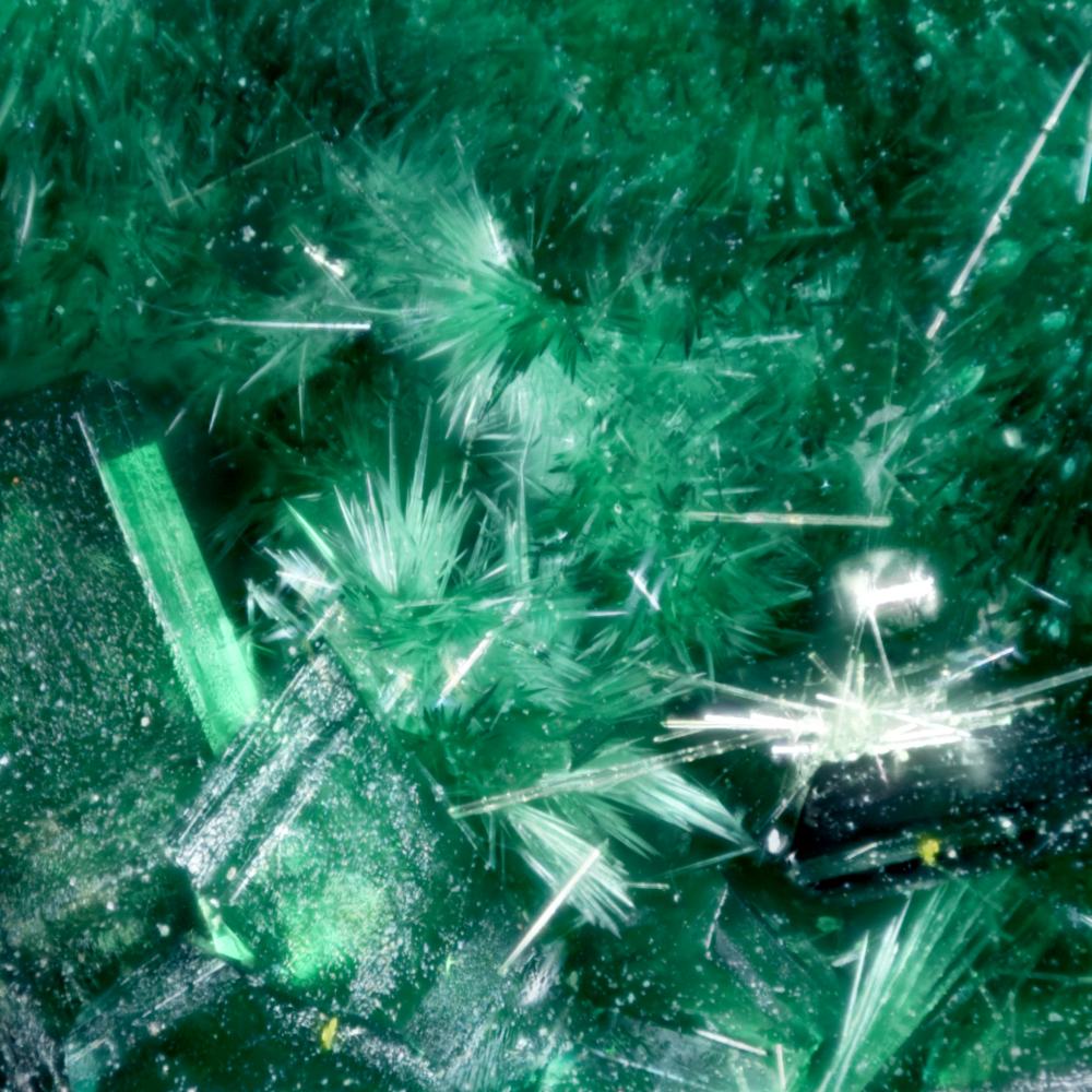 Cuprosklodowskite On Metatorbernite