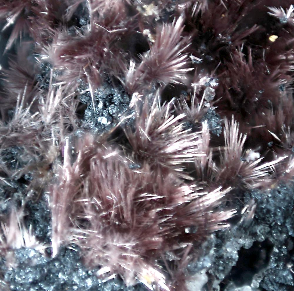Richterite