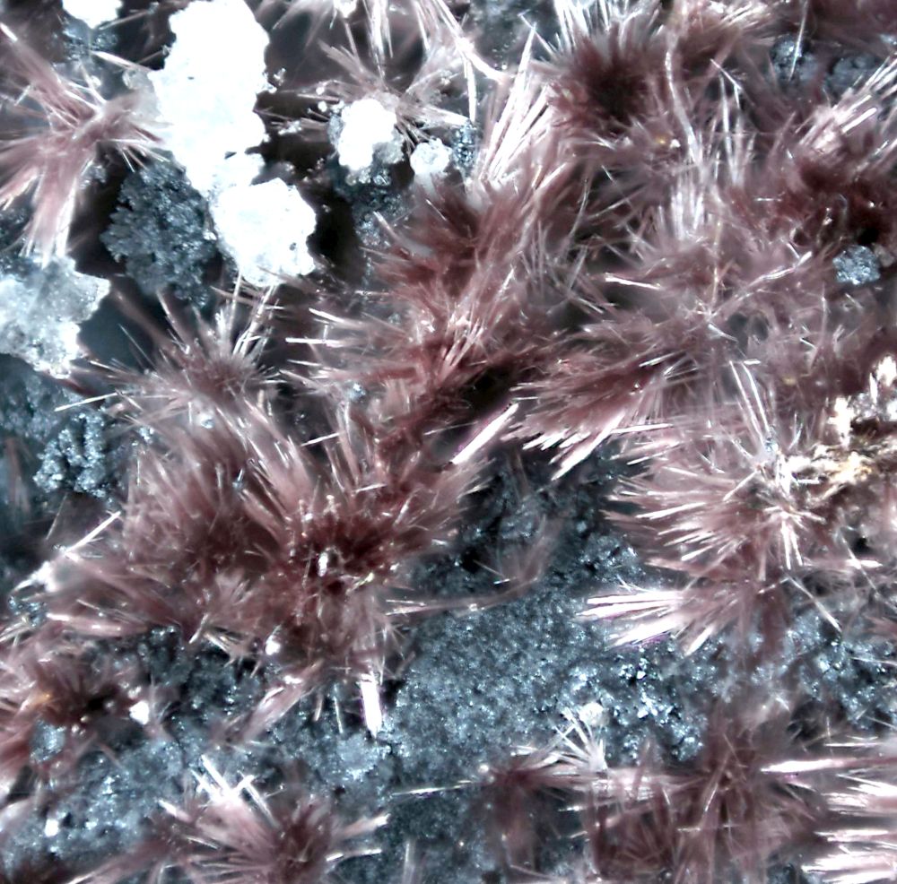 Richterite