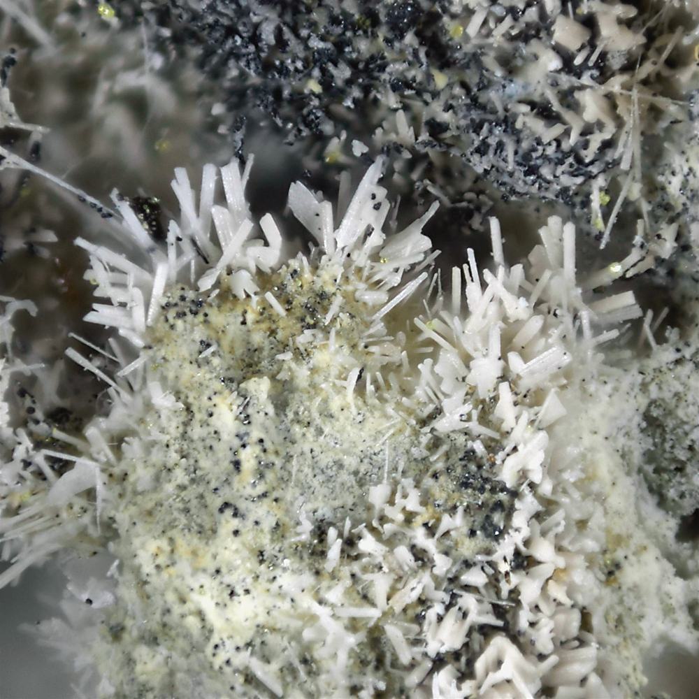 Pseudocotunnite & Bismuthinite