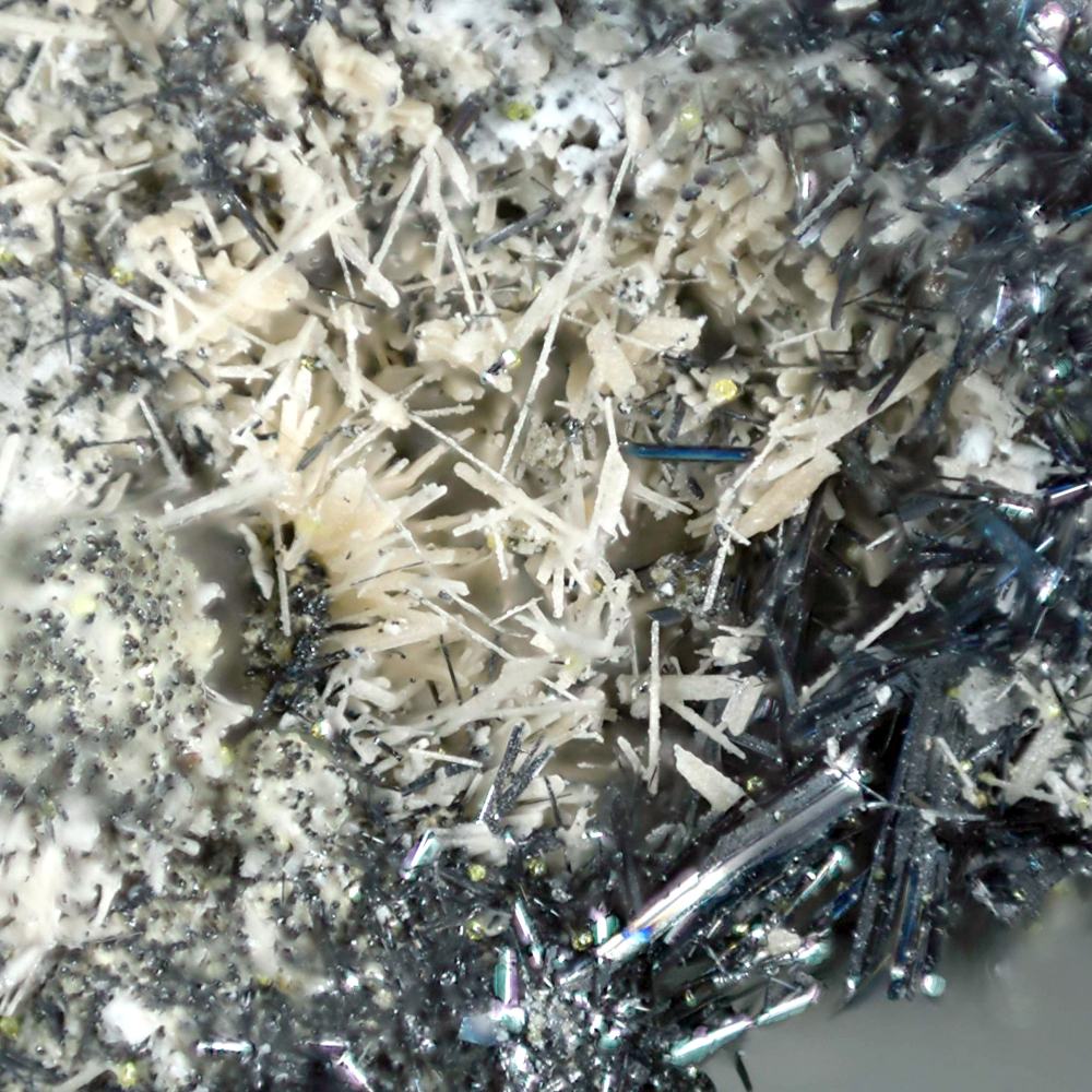 Pseudocotunnite & Bismuthinite