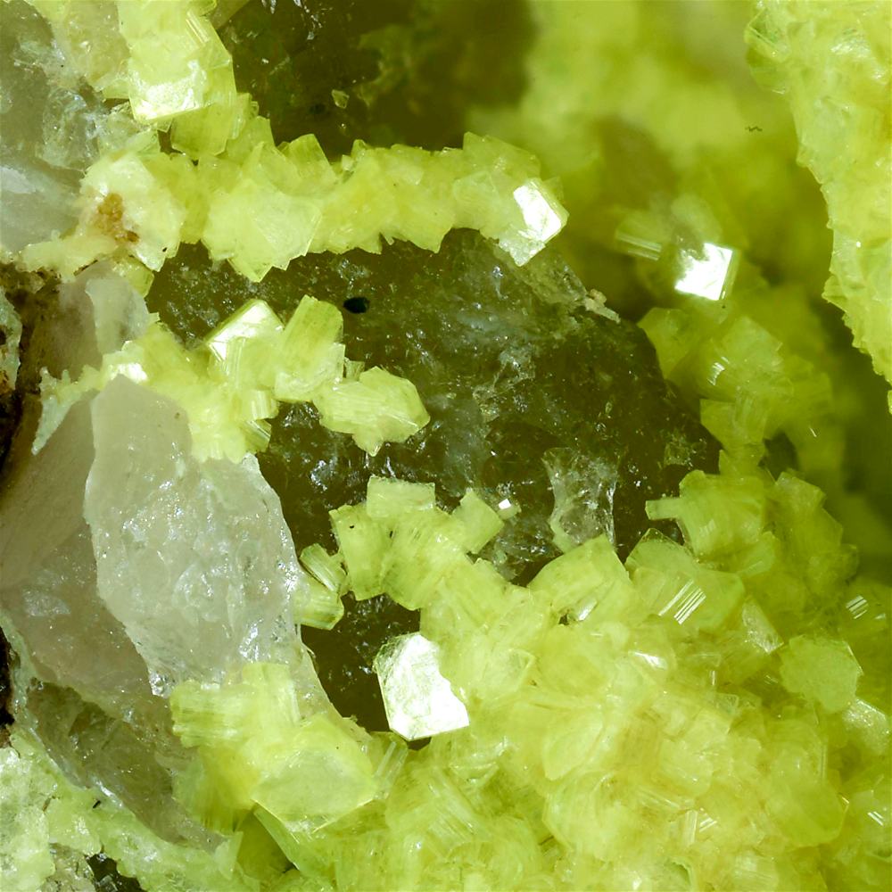 Autunite