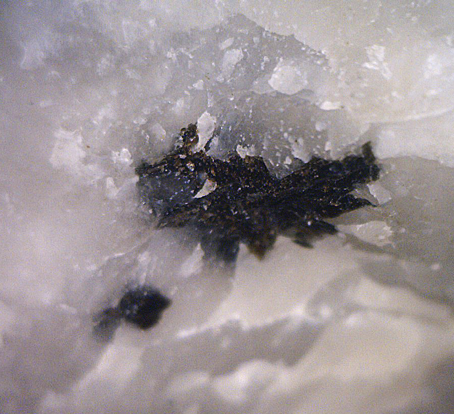 Edenite