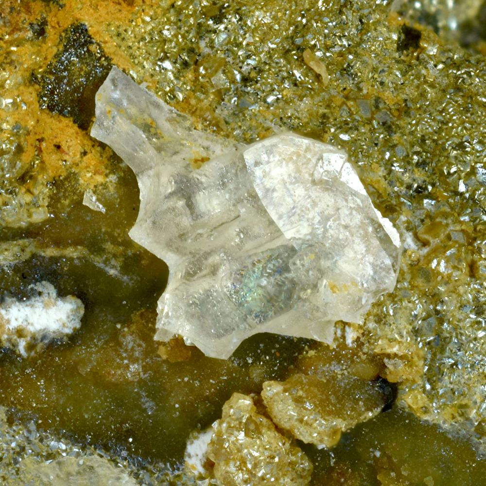 Whewellite