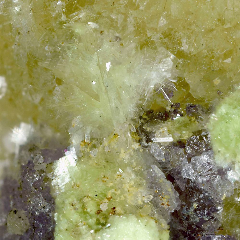 Schubnelite & Carlhintzeite