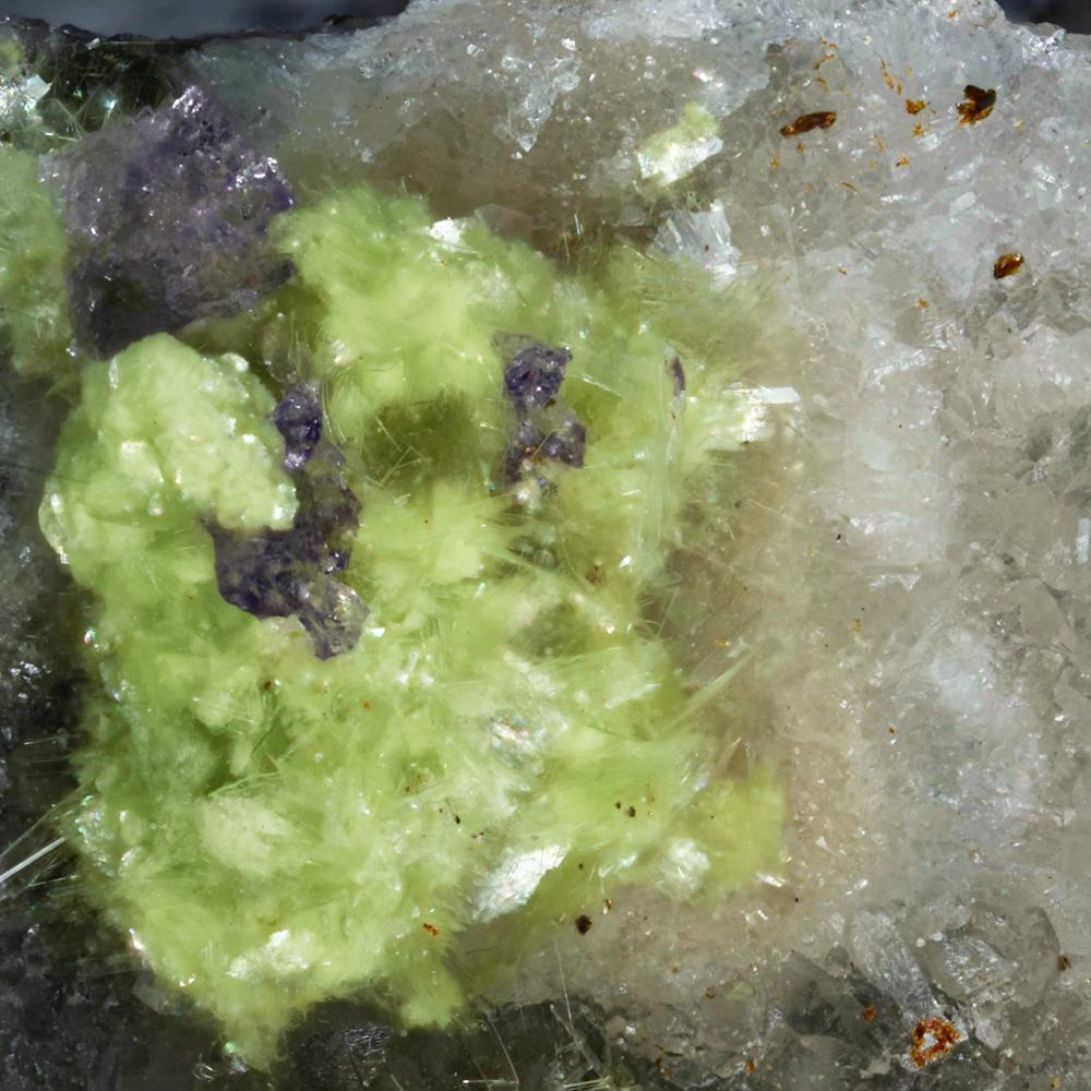 Schubnelite & Carlhintzeite