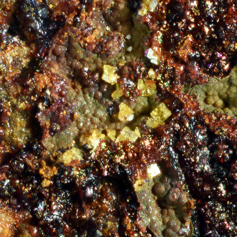 Thalliumpharmacosiderite