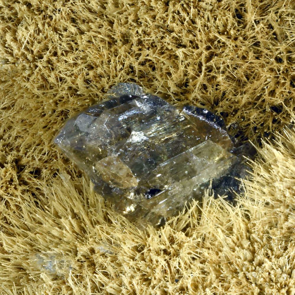 Manganbabingtonite On Johannsenite