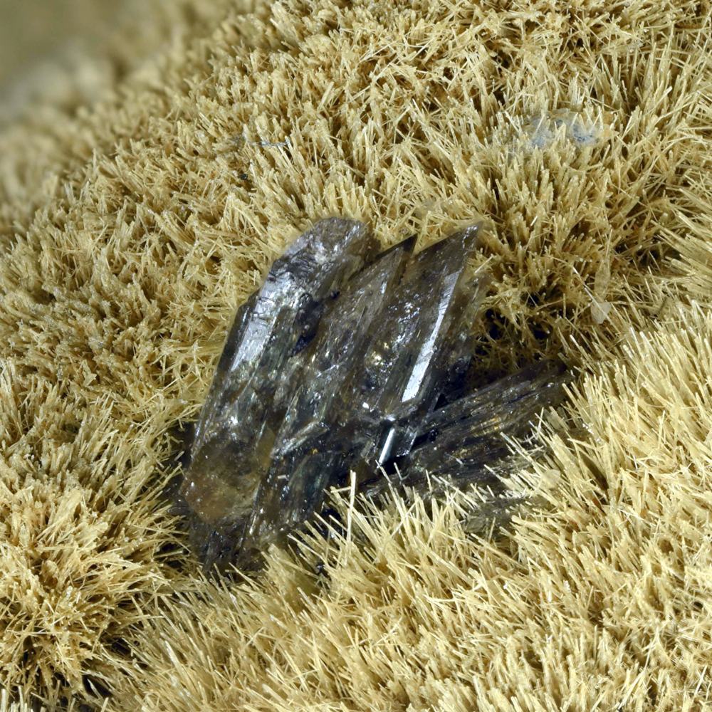 Manganbabingtonite On Johannsenite