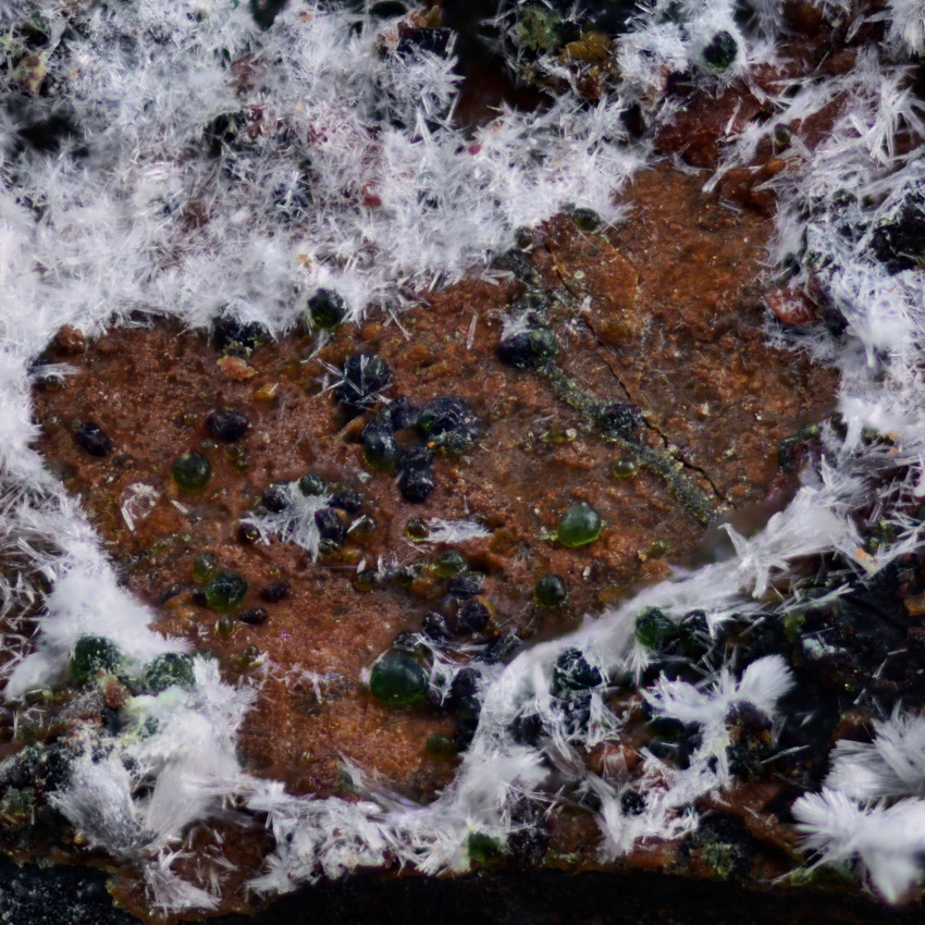 Pecoraite & Aragonite