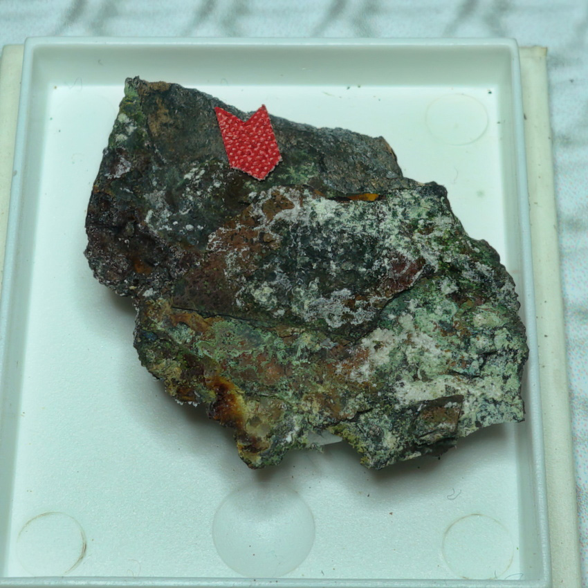 Pecoraite & Aragonite