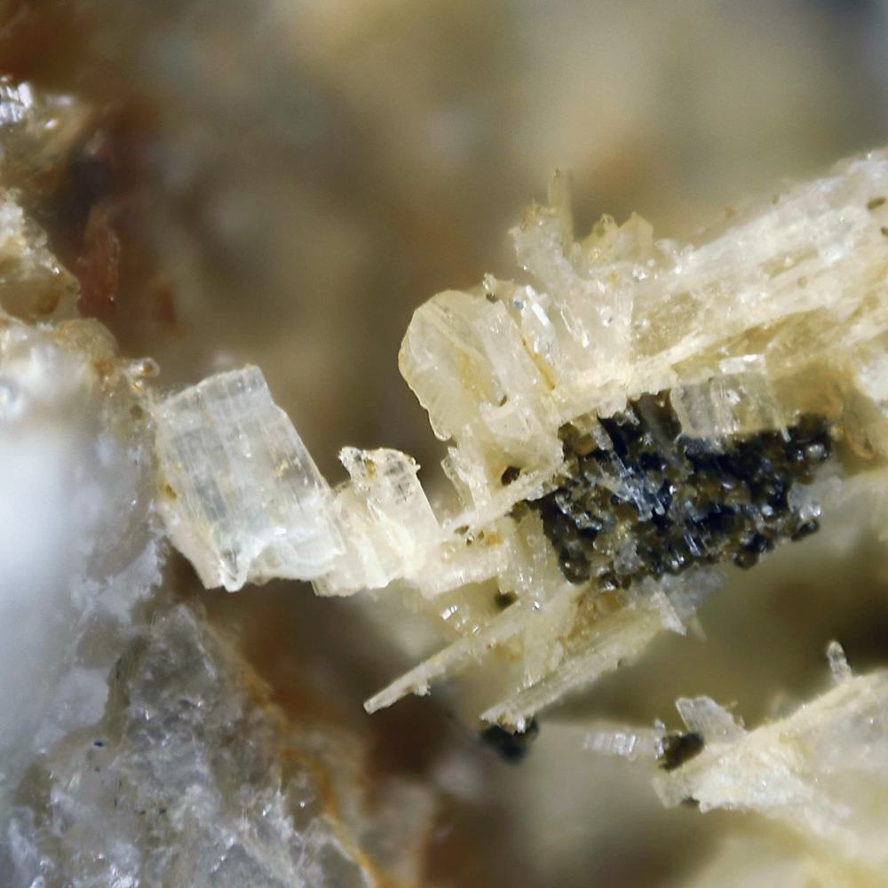 Bertrandite