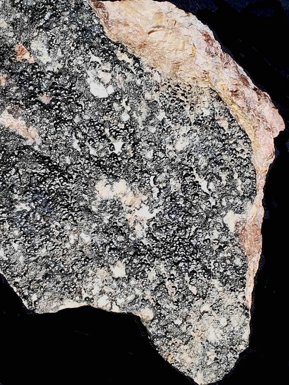 Uraninite
