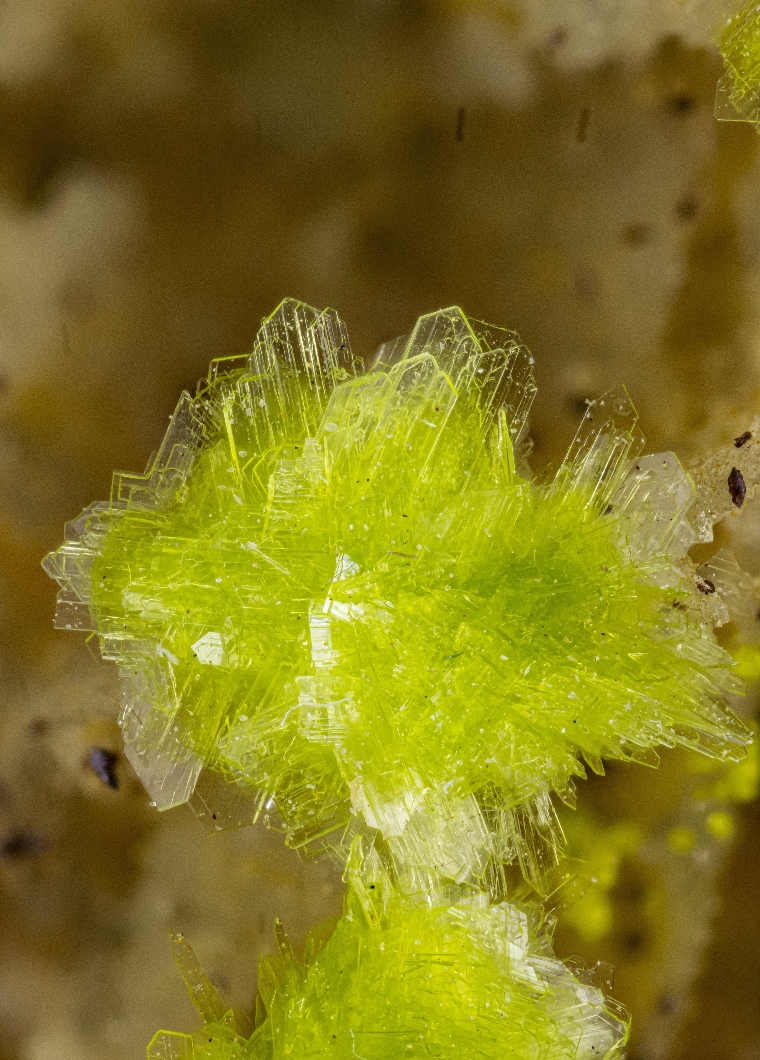 Carlhintzeite & Schubnelite