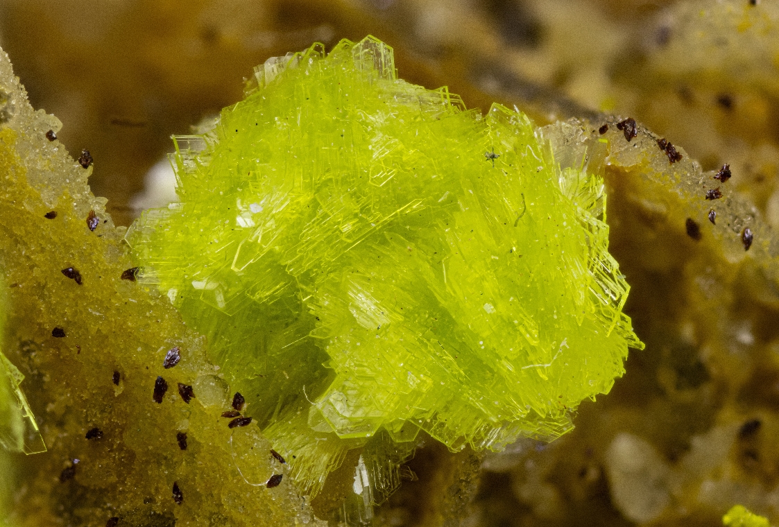 Carlhintzeite & Schubnelite