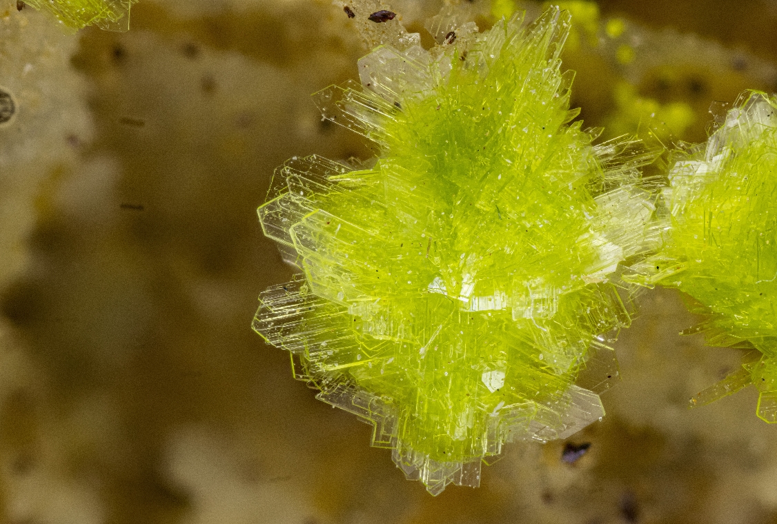 Carlhintzeite & Schubnelite