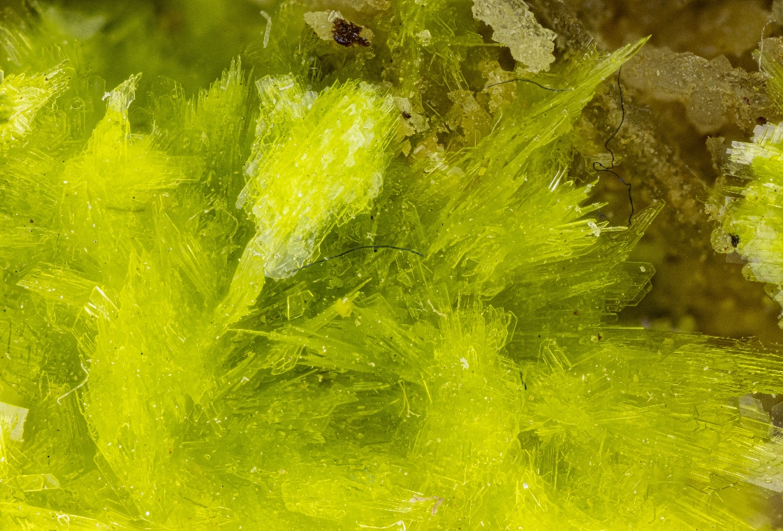 Carlhintzeite & Schubnelite