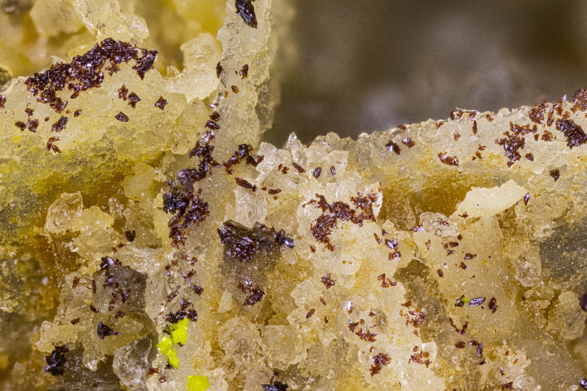 Carlhintzeite & Schubnelite