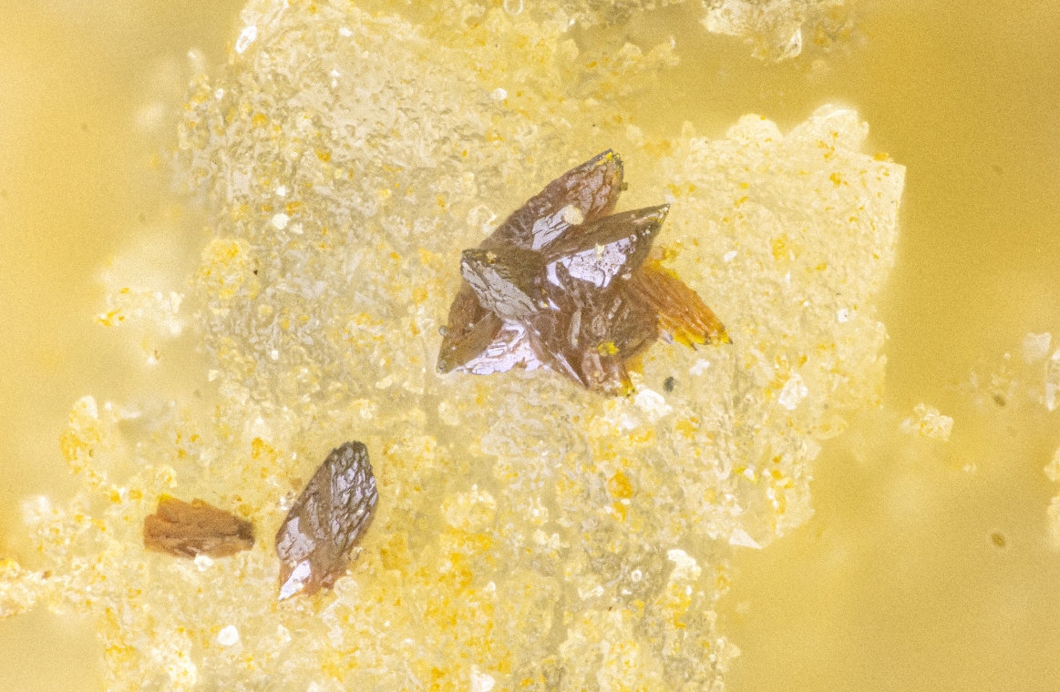 Carlhintzeite & Schubnelite