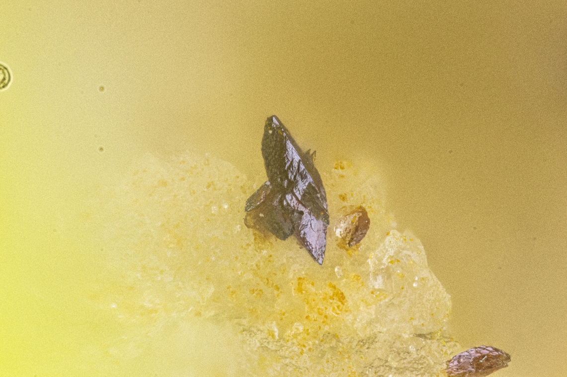 Carlhintzeite & Schubnelite