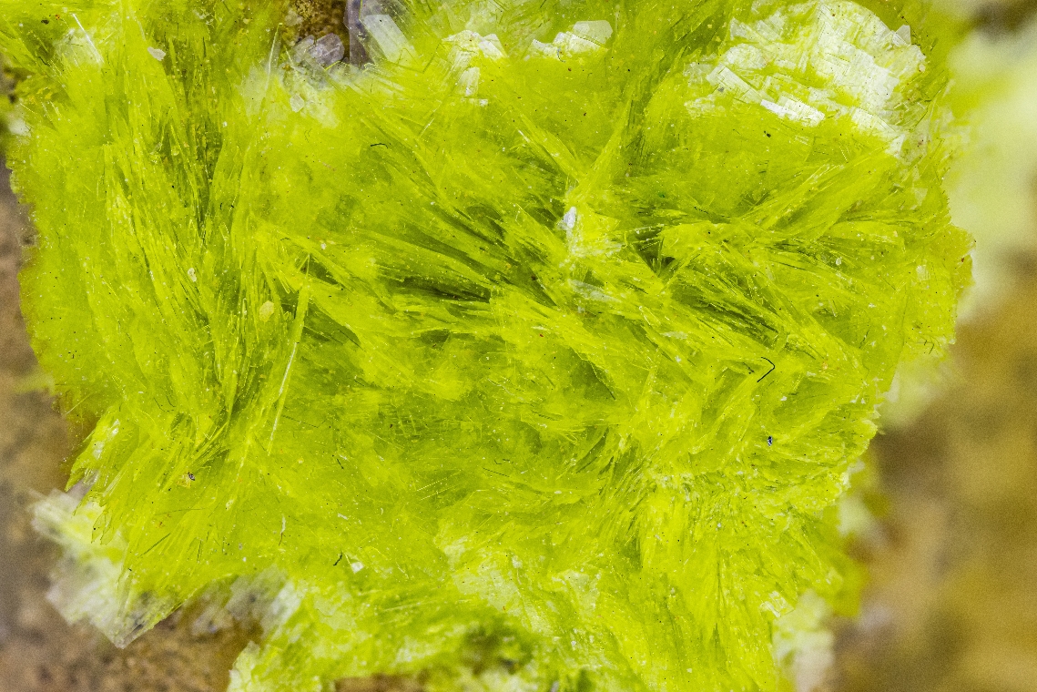 Carlhintzeite & Schubnelite