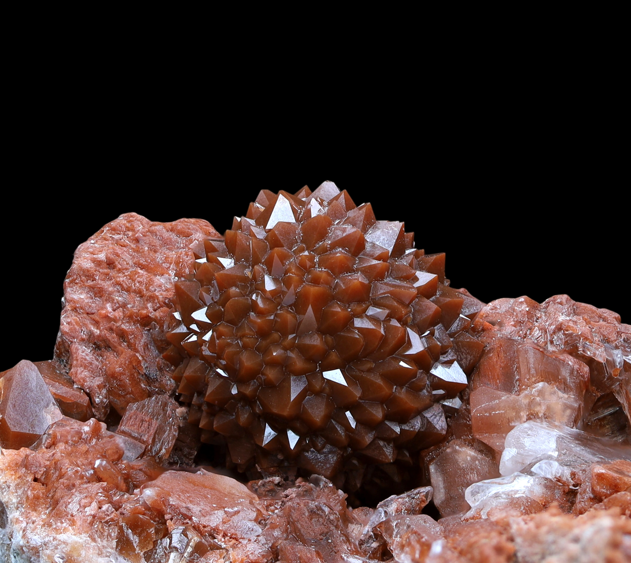 Jacinto de Compostela Quartz