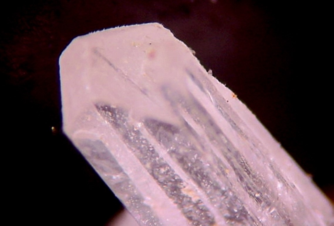 Nifontovite