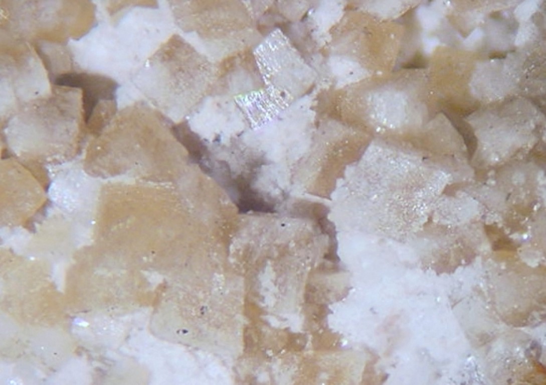 Radian Barite Var Hokutolite