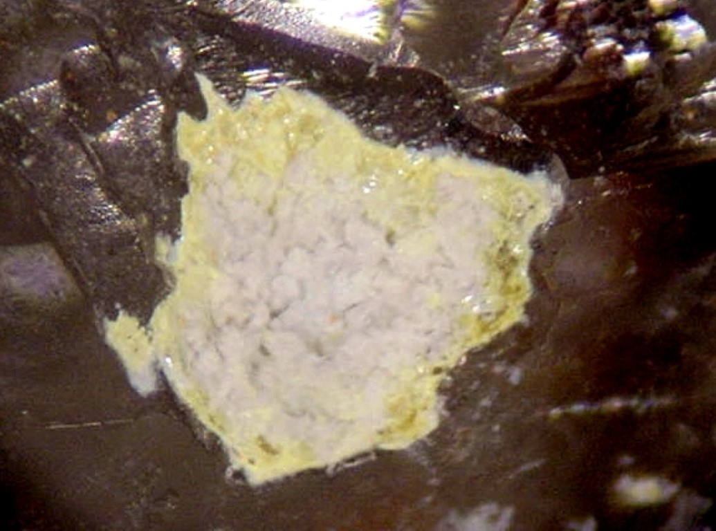 Artsmithite Calomel & Eglestonite