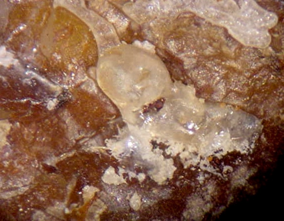 Artsmithite Calomel & Eglestonite