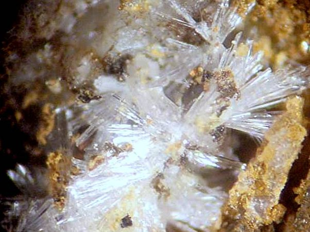 Scholzite