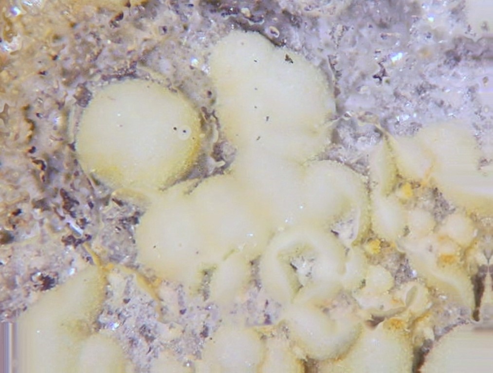 Planerite & Wavellite