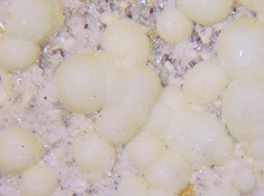 Planerite & Wavellite