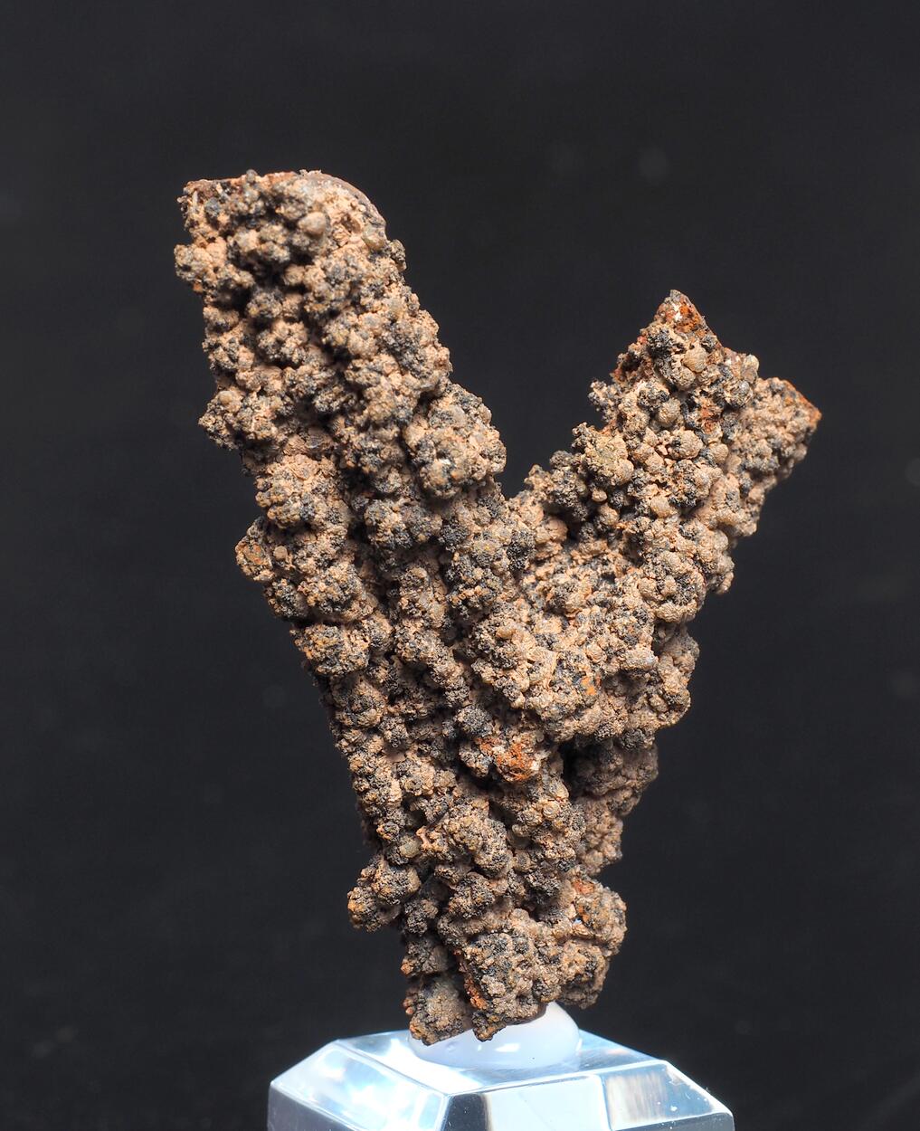 Aragonite Psm