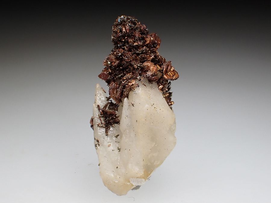 Marcasite & Calcite