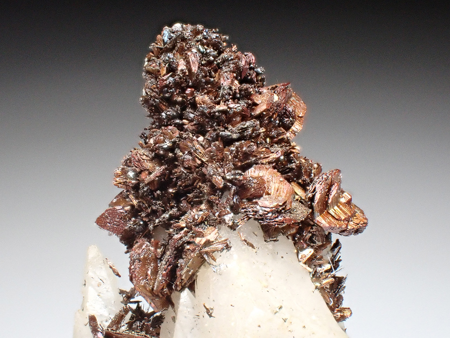 Marcasite & Calcite