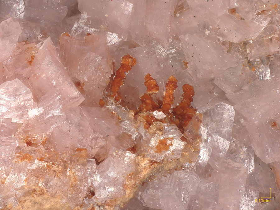 Caryopilite & Rhodochrosite