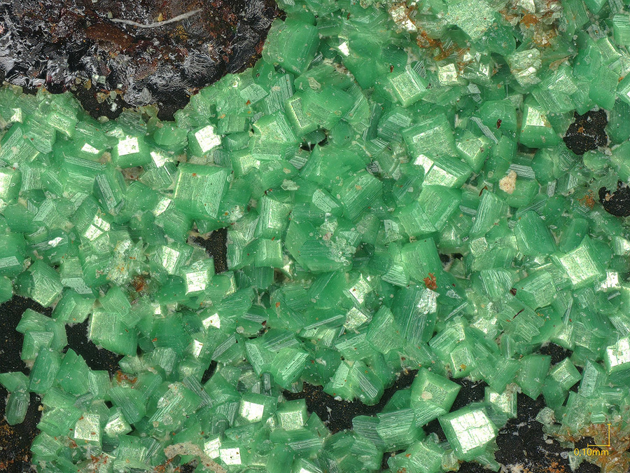 Metatorbernite