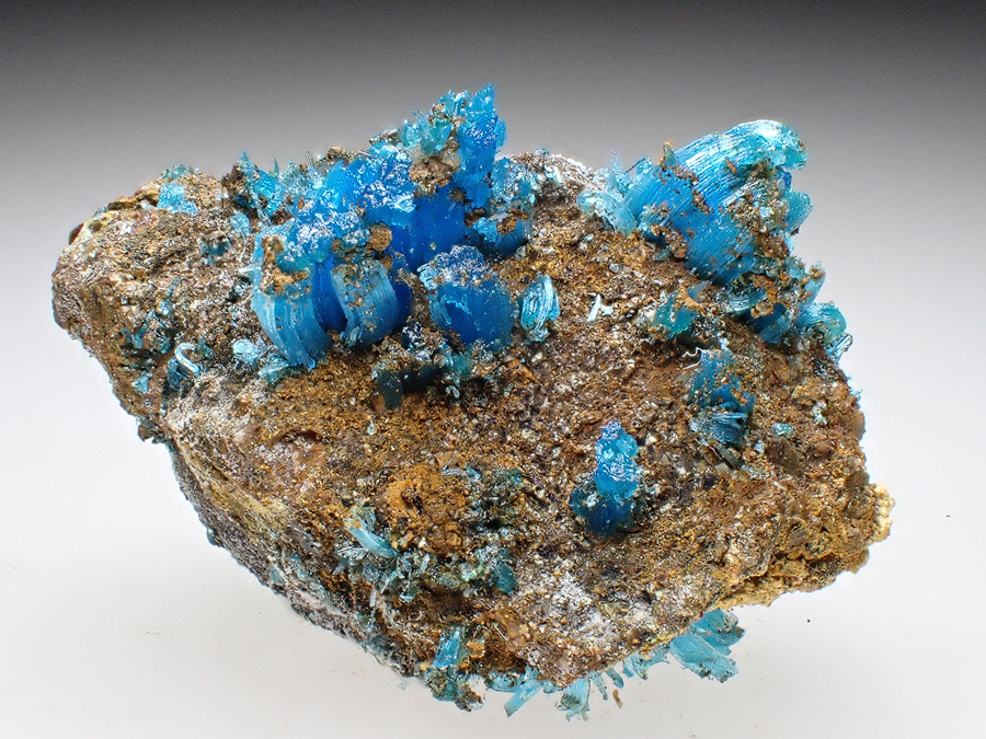 Chalcanthite