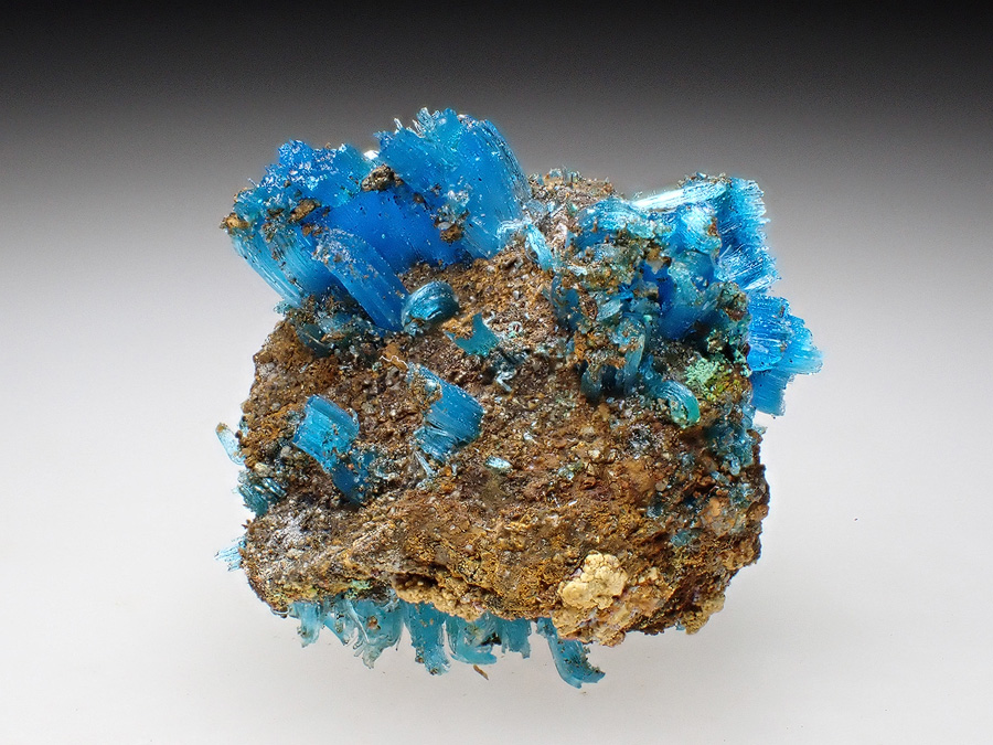 Chalcanthite