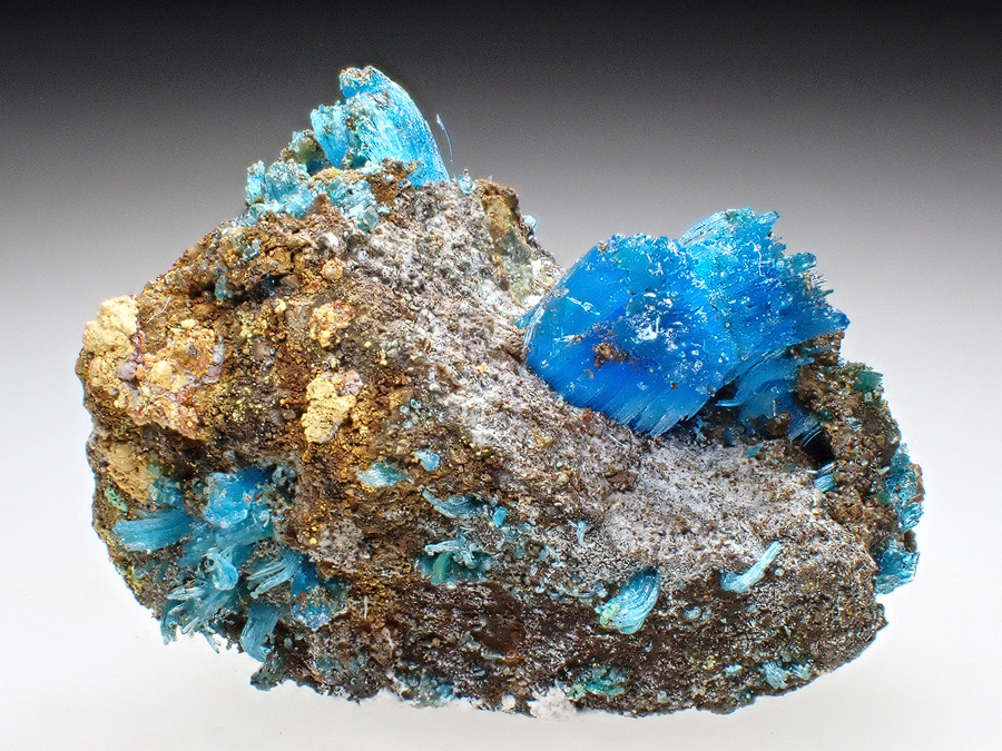 Chalcanthite