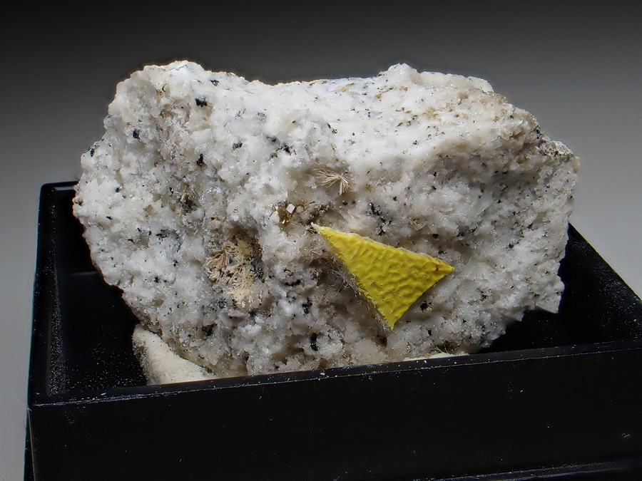 Monazite-(Ce) & Britholite