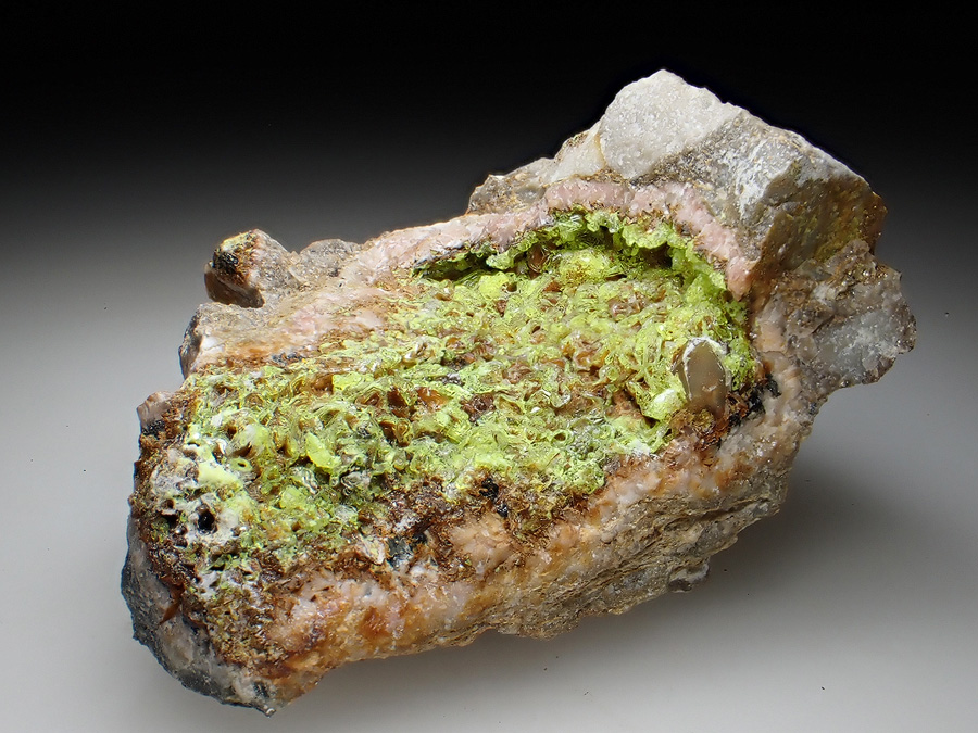 Parsonsite