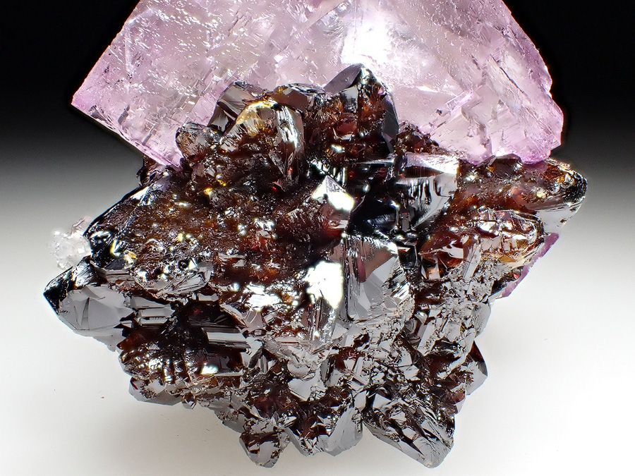 Fluorite & Sphalerite