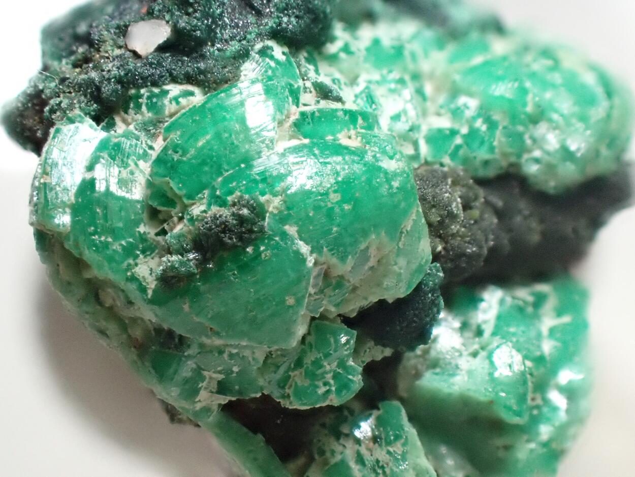 Cuprian Adamite