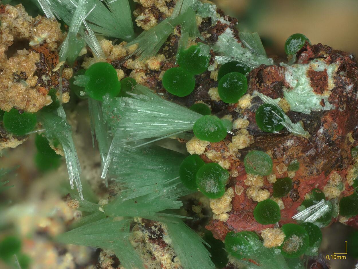 Olivenite & Conichalcite