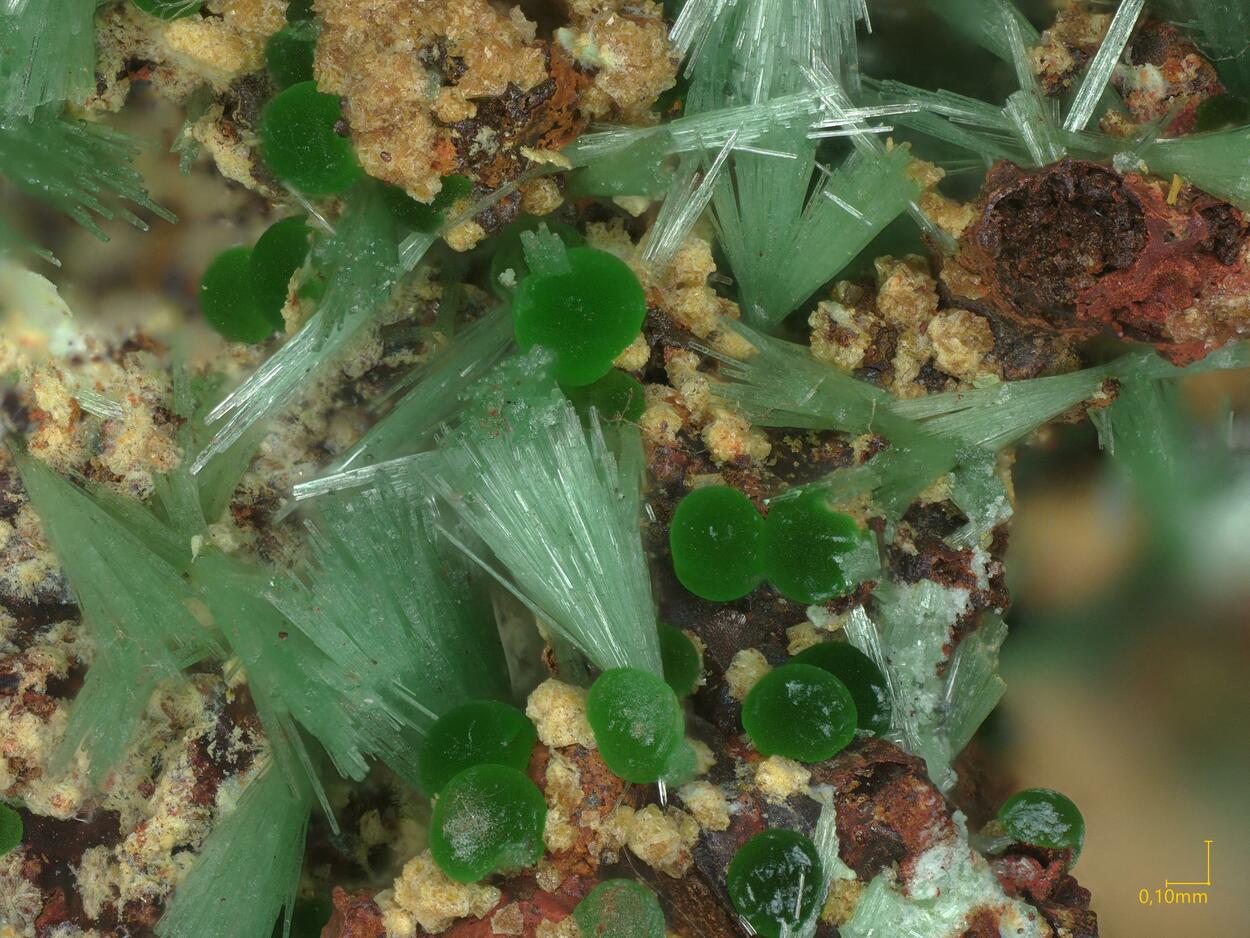 Olivenite & Conichalcite