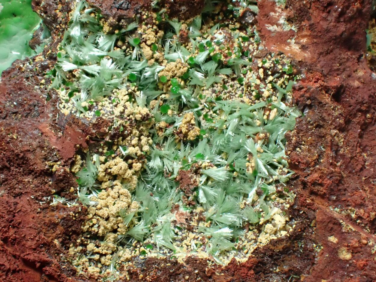 Olivenite & Conichalcite