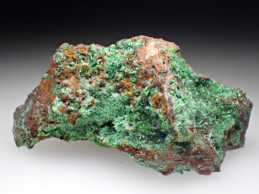 Olivenite & Conichalcite
